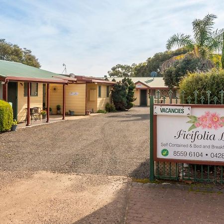 Ficifolia Lodge Parndana Εξωτερικό φωτογραφία
