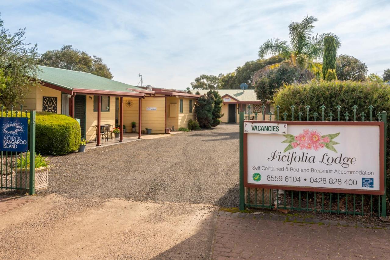 Ficifolia Lodge Parndana Εξωτερικό φωτογραφία