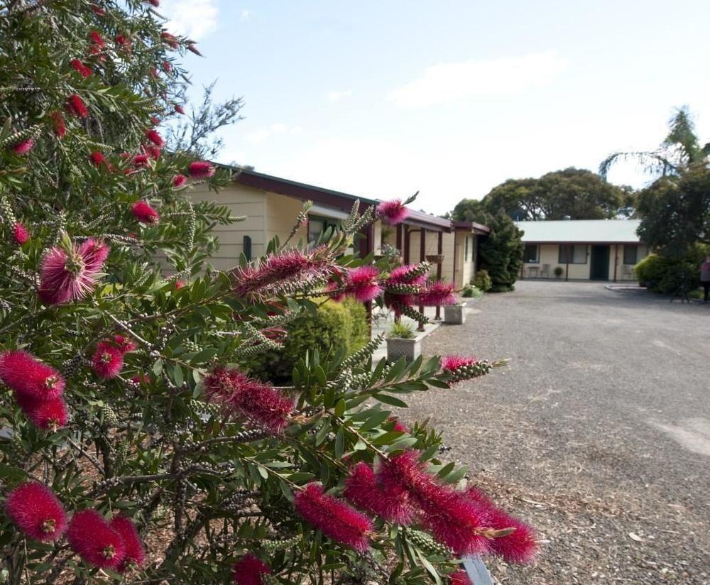 Ficifolia Lodge Parndana Εξωτερικό φωτογραφία