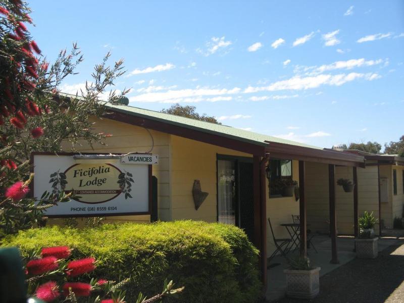 Ficifolia Lodge Parndana Εξωτερικό φωτογραφία
