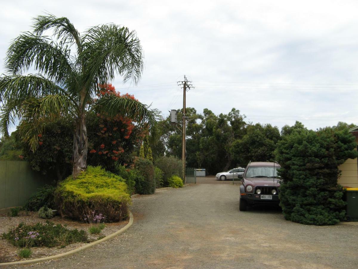 Ficifolia Lodge Parndana Εξωτερικό φωτογραφία